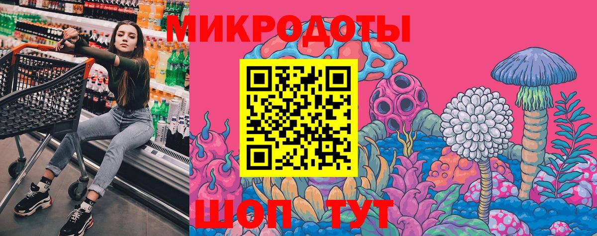 Псилоцибиновые грибы Psilocybe Михайловск