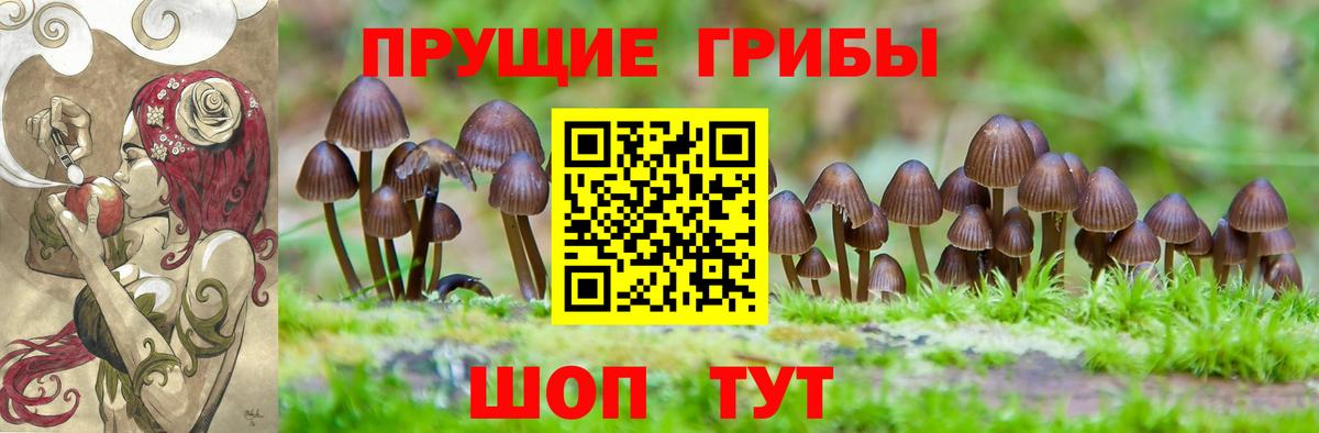 Псилоцибиновые грибы Magic Shrooms  Вход с VPN  как найти наркотики  Михайловск  Галлюциногенные грибы ЛСД 