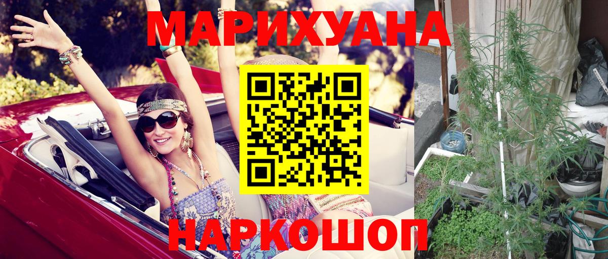 Михайловск  Бошки Шишки сатива  Канабис MAZAR  Бошки марихуана планчик  Вход с VPN 